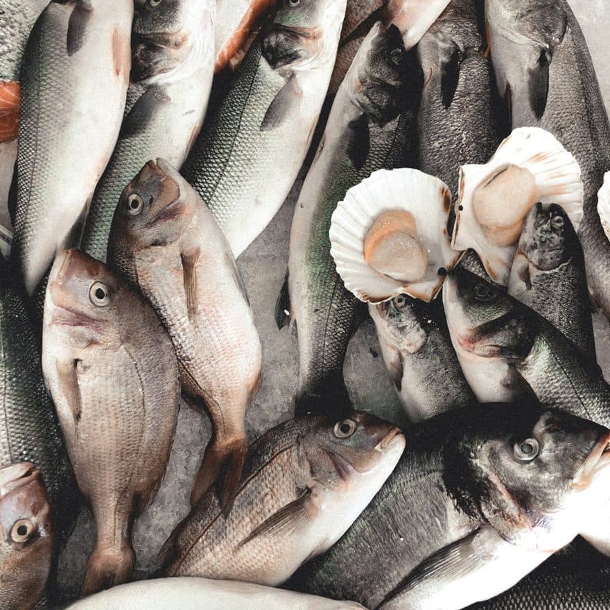 Fish & Seafood